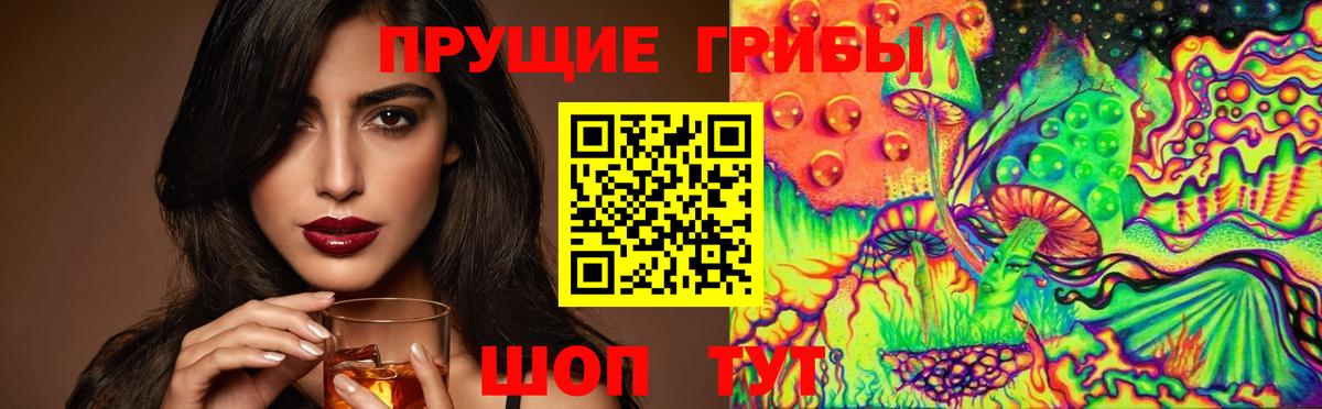 Галлюциногенные грибы Psilocybe  Вход с VPN  Ефремов 