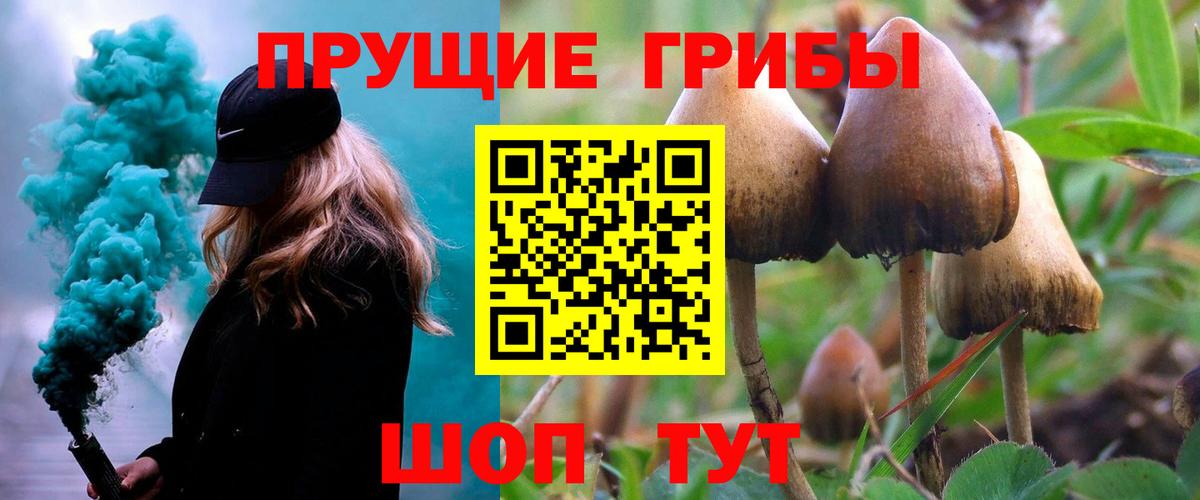 Галлюциногенные грибы Magic Shrooms Ефремов